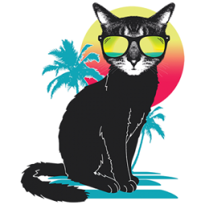 a black summer cat
